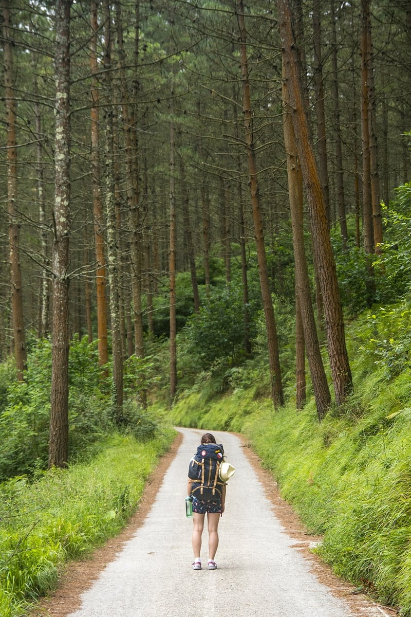 Wanderer Backpacking